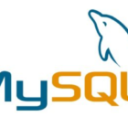 MySQL Download